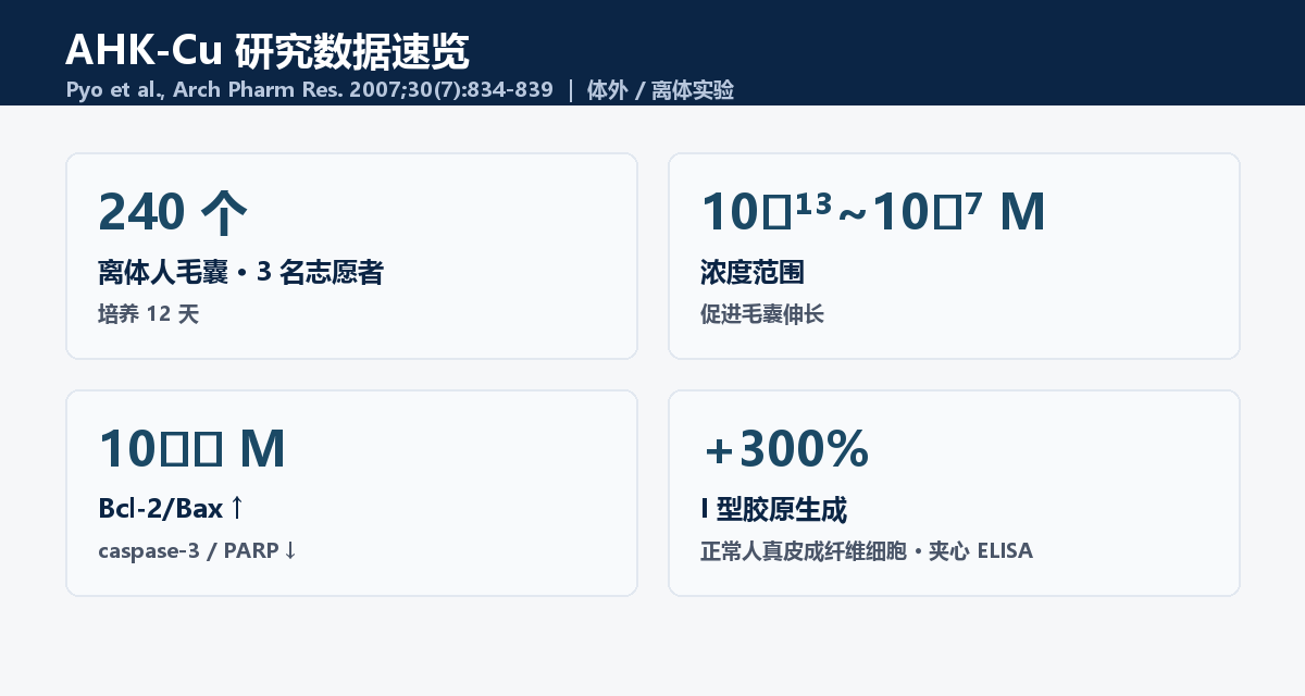 AHK-Cu研究数据速览：240个离体毛囊、10⁻¹³~10⁻⁷M促毛囊伸长、胶原增加300%