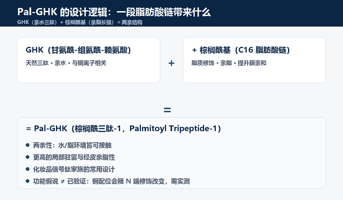 Pal-GHK 设计逻辑：GHK 加棕榈酰基的两亲信号肽结构